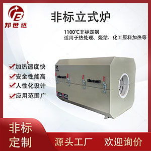 電加熱箱 熱風循環烘箱 果蔬脫水烘干箱 非標定制